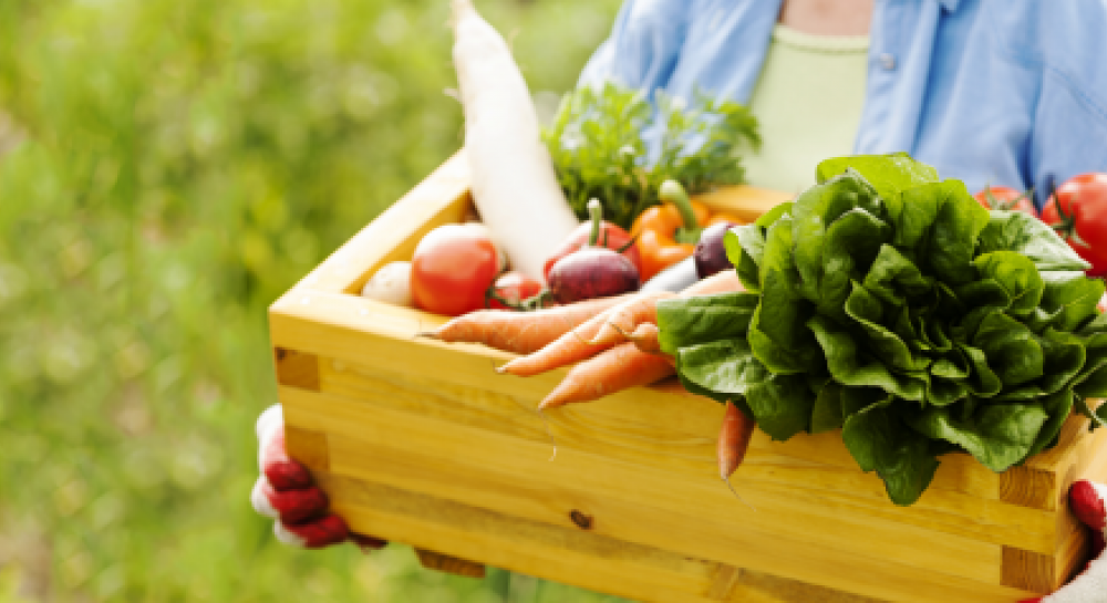 Rahasia Nutrisi Buah dan Sayur untuk Tubuh yang Lebih Sehat